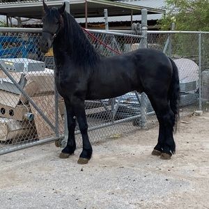 Meet your Posher, Juan pablo